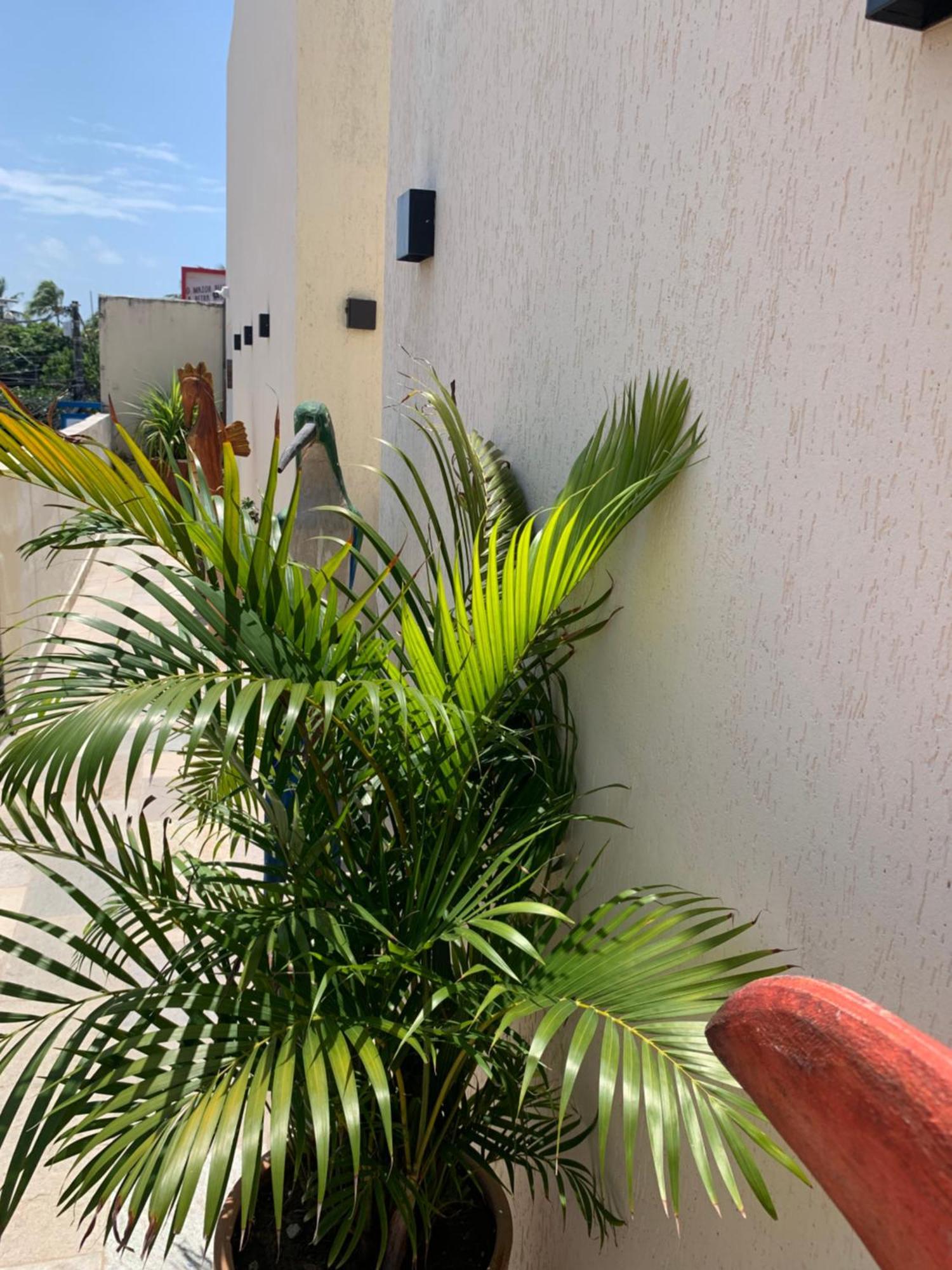 Villa Peixe Na Telha Pôrto das Galinhas Exterior foto